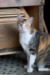 _MG_0158-2