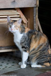 _MG_0159-2