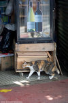 _MG_0160-2