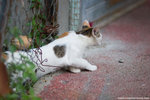 _MG_0161-2