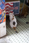 _MG_0162-2