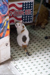 _MG_0164-2