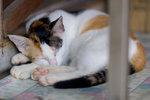 _MG_0166-2