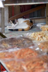 _MG_0168-2