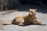 _MG_0170-2