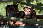 _MG_0172-2