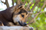 _MG_0176-2