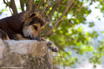 _MG_0177-2