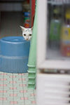 _MG_6590-2