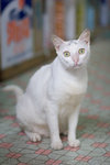 _MG_6594-2