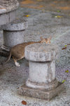 _MG_6605-2