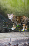 _MG_6623-2