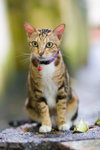 _MG_6630-2