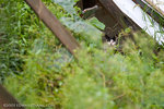 MG_6645_2