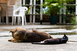 _MG_4528-2