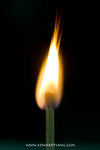 _MG_1496-2