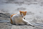 _MG_1756-2