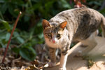 _MG_1757-2