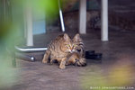_MG_1758-2