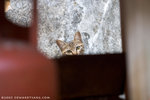 _MG_1759-2