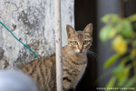 _MG_1760-2