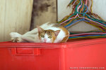 _MG_1769-2
