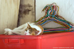 _MG_1770-2
