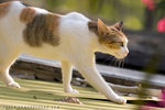 _MG_1779-2