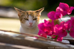 _MG_1788-2