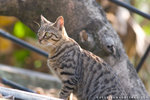 _MG_1792-2