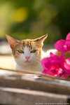 _MG_1793-2