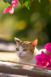 _MG_1794-2