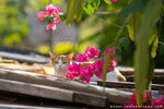 _MG_1797-2