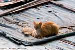 _MG_1819-2