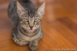 _MG_2738-2