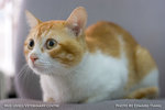 _MG_2533-2