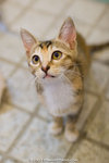 _MG_2661-2
