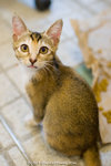 _MG_2672-2