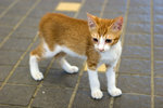 _MG_5982-2