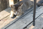 _MG_0917-2