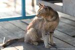 _MG_0923-2