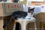 _MG_1118-2