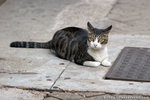 _MG_1877-2