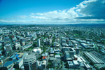 DPP_0011