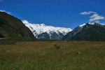 ADPP_0054