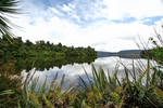 DPP_0081