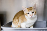 _MG_3180-2
