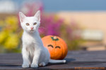 _MG_0014-3