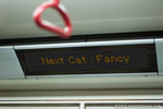 _MG_0113-2