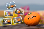 _MG_9944-2